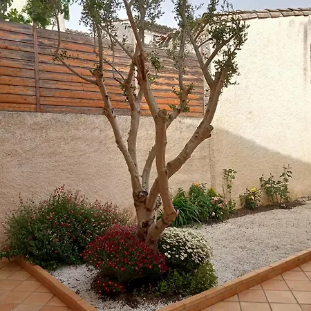 Le Patio Hébergement de vacances Villegailhenc