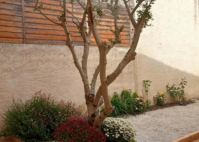 Le Patio Ferienhaus Villegailhenc